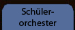 Schülerorchester